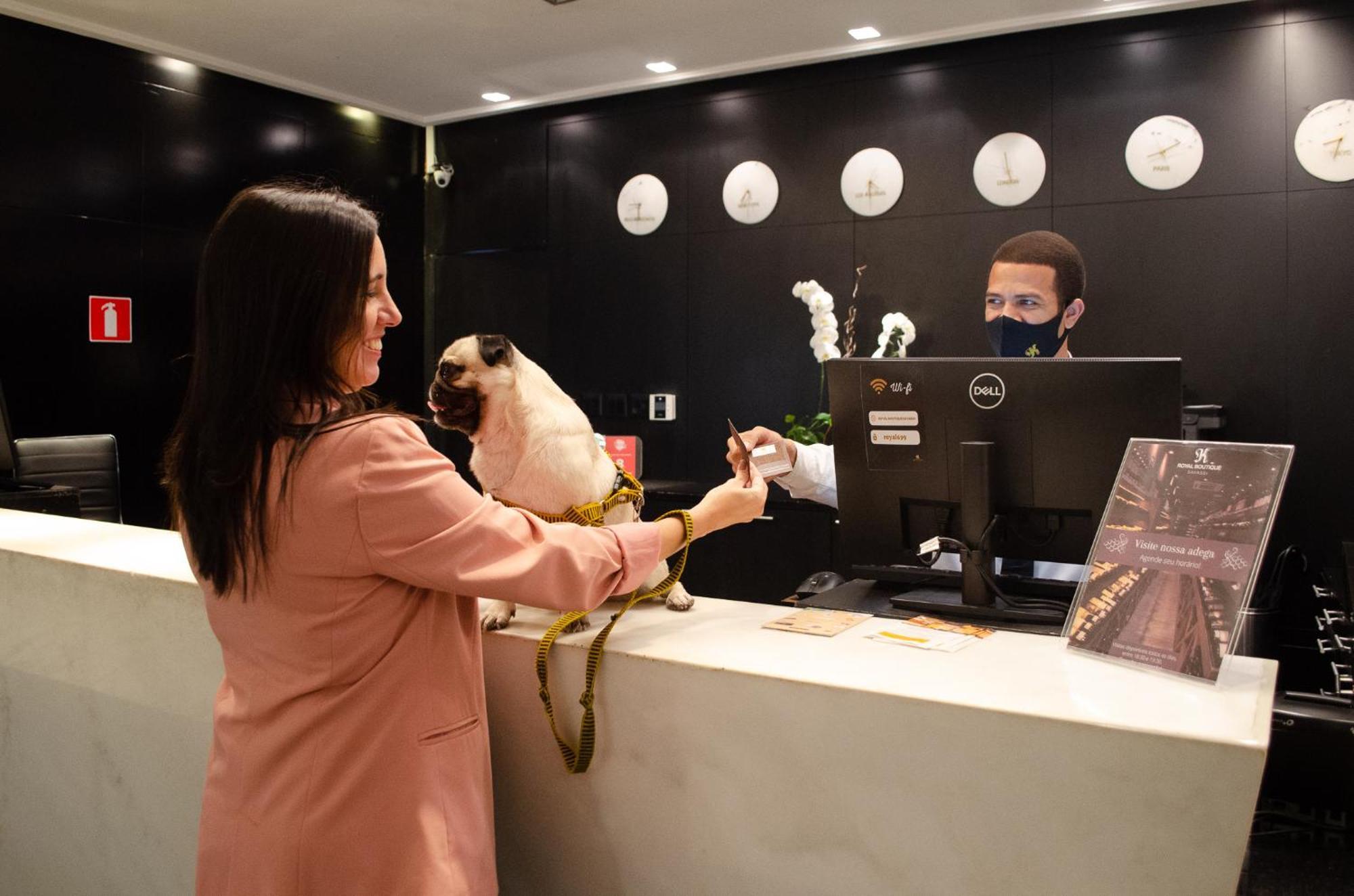 Royal Boutique Savassi Hotel 벨루오리존치 외부 사진 A woman checking in at a hotel with her dog